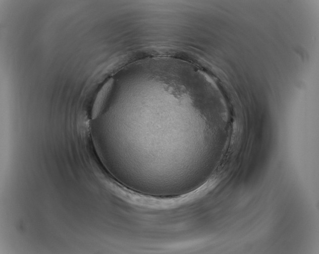 X0000115590048200911101247