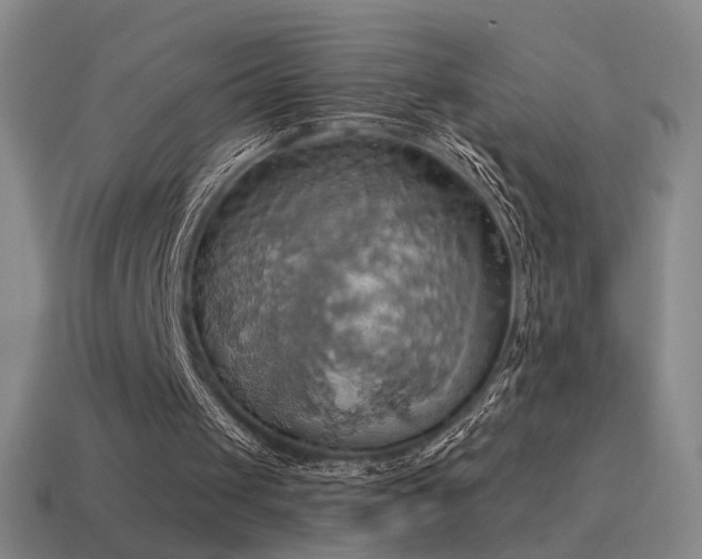 X0000115590049200911101247