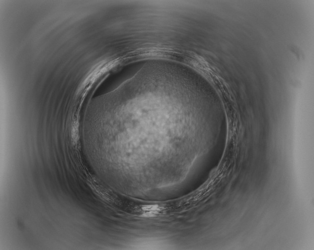 X0000115590050200911101247