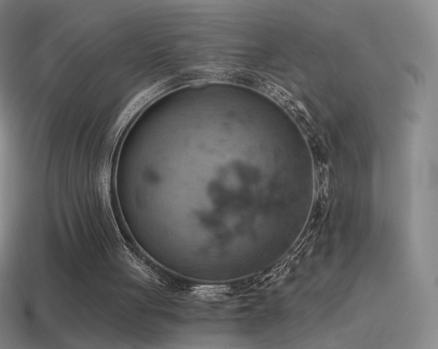 X0000115590051200911101247