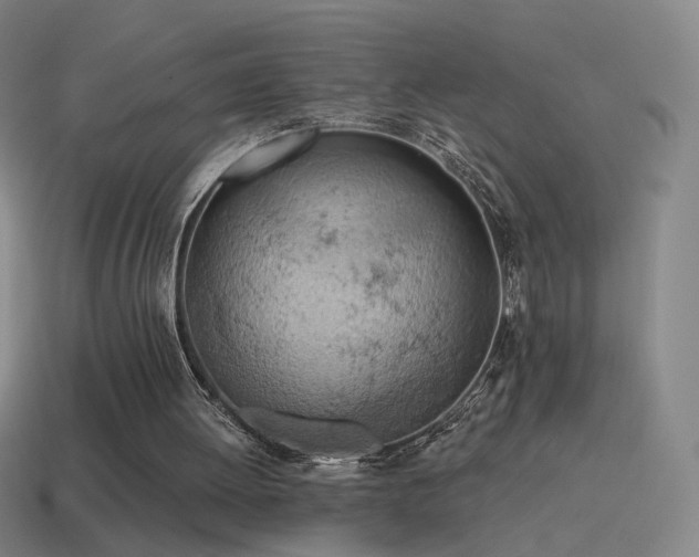 X0000115590052200911101247