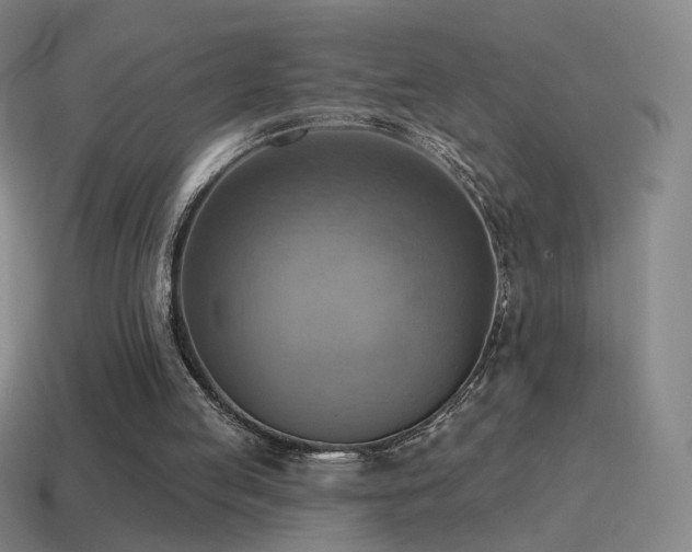 X0000115590053200911101247