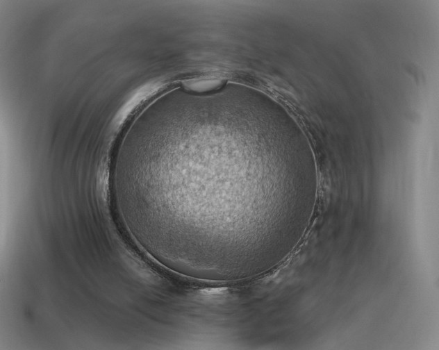 X0000115590054200911101247