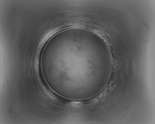 X0000115590055200911101247