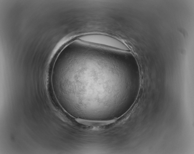 X0000115590056200911101247