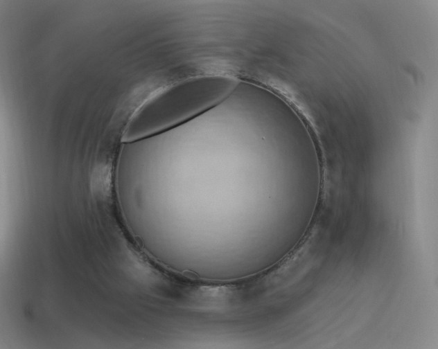 X0000115590057200911101247