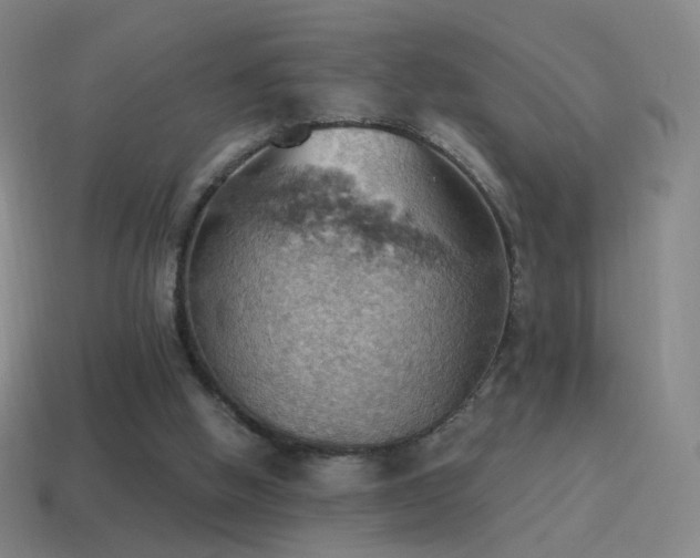 X0000115590058200911101247