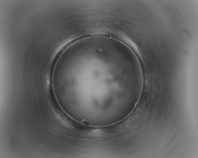 X0000115590059200911101247