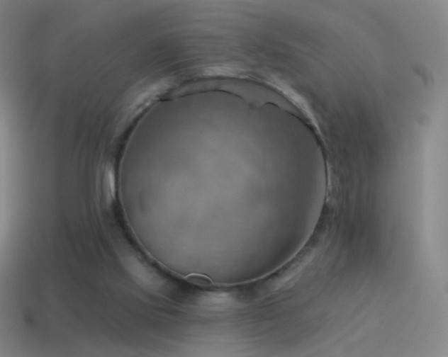 X0000115590061200911101247