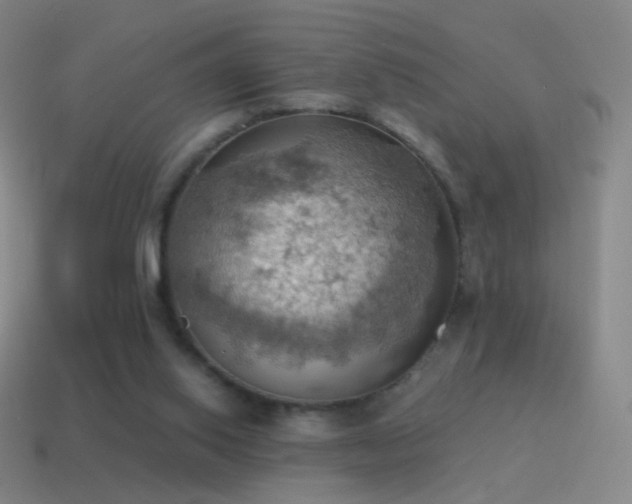 X0000115590062200911101247