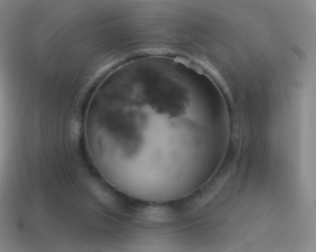 X0000115590063200911101247
