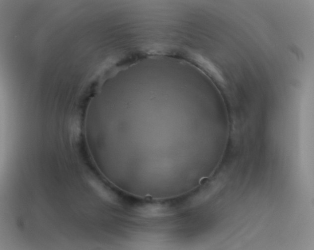 X0000115590065200911101247