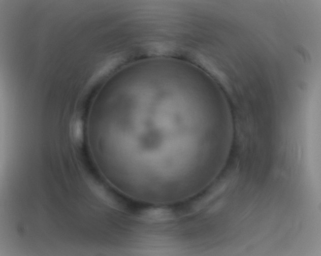 X0000115590067200911101247