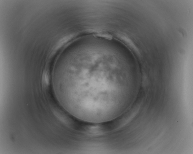 X0000115590068200911101247