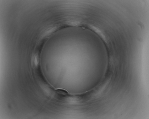 X0000115590069200911101247