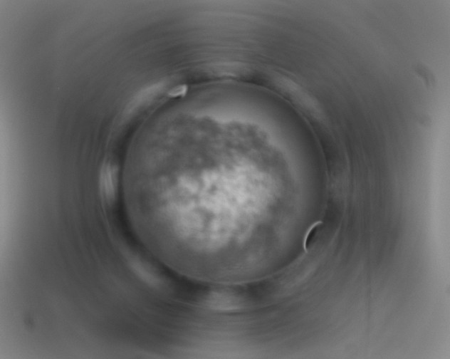 X0000115590070200911101247