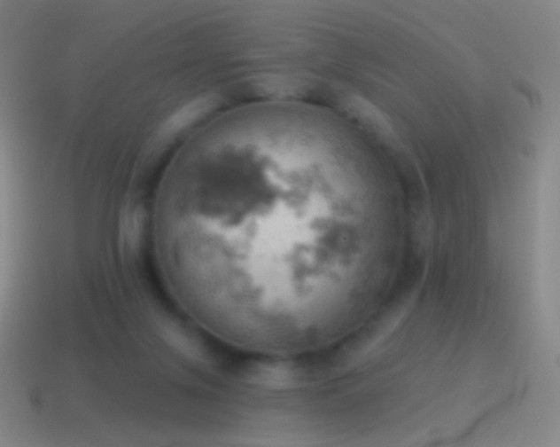 X0000115590071200911101247