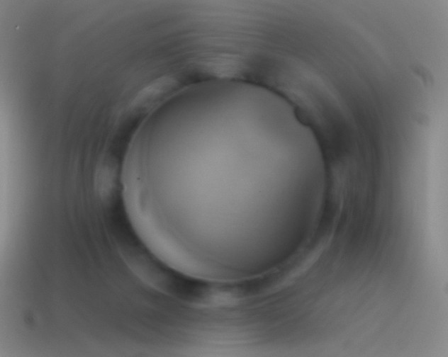 X0000115590073200911101247