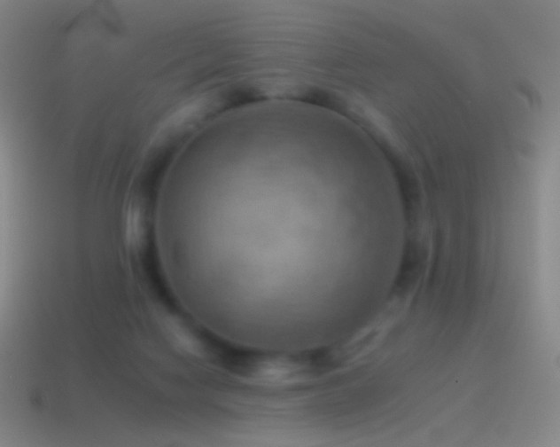 X0000115590074200911101247