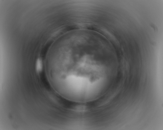X0000115590075200911101247