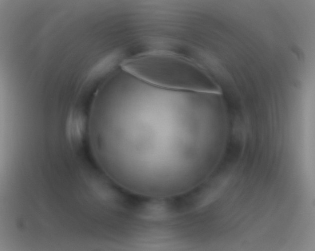 X0000115590076200911101247