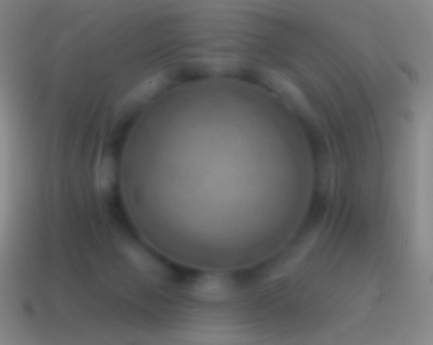 X0000115590077200911101247