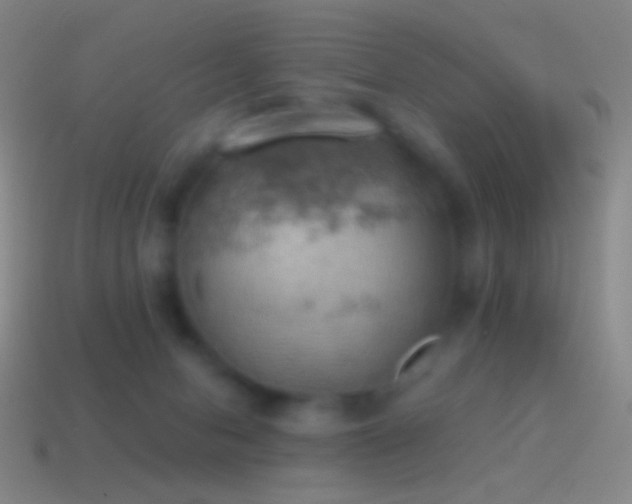 X0000115590078200911101247
