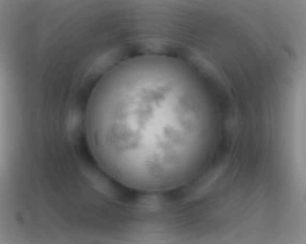 X0000115590079200911101247