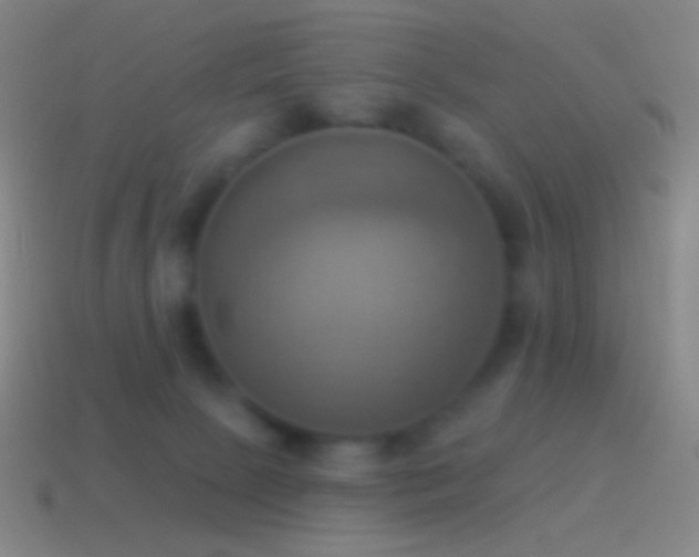 X0000115590081200911101247