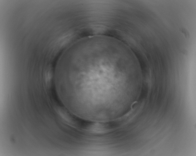 X0000115590082200911101247