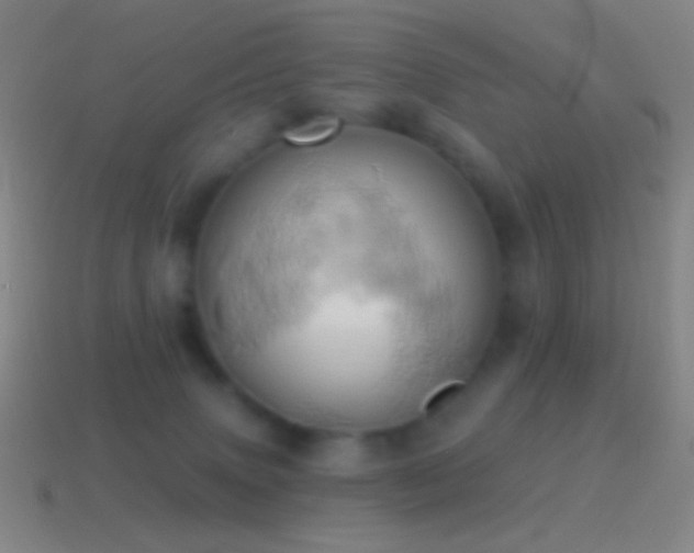 X0000115590083200911101247