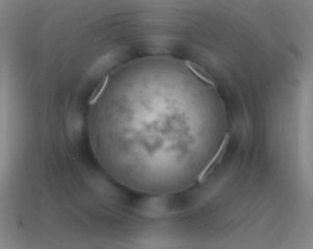 X0000115590084200911101247