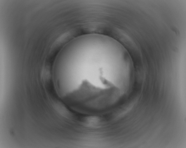 X0000115590085200911101247