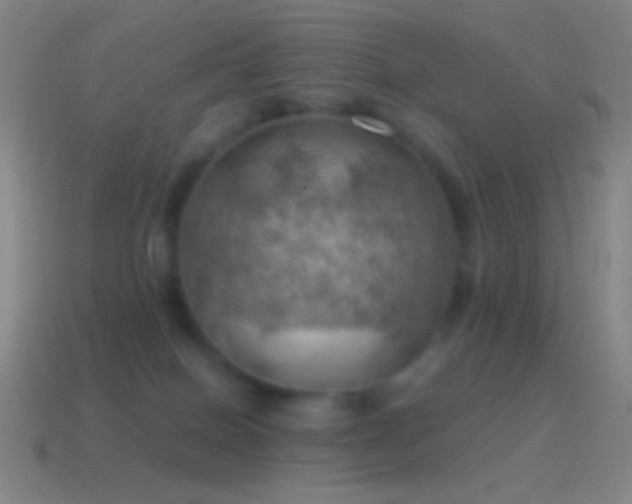 X0000115590086200911101247