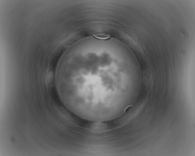 X0000115590087200911101247
