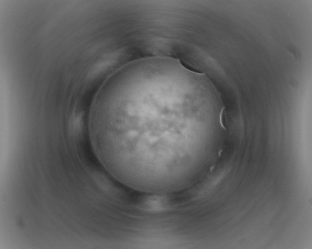 X0000115590088200911101247