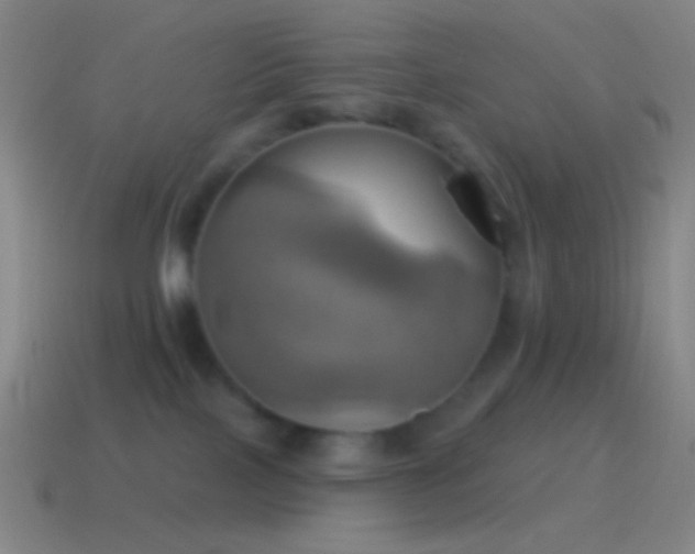 X0000115590089200911101247
