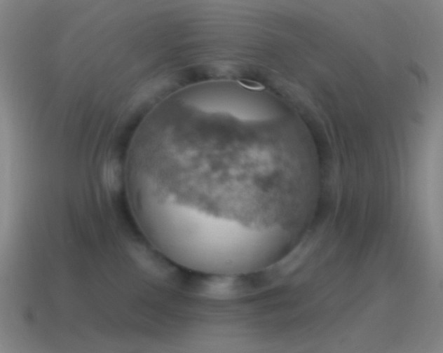 X0000115590090200911101247