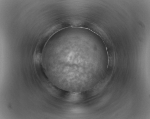 X0000115590093200911101247
