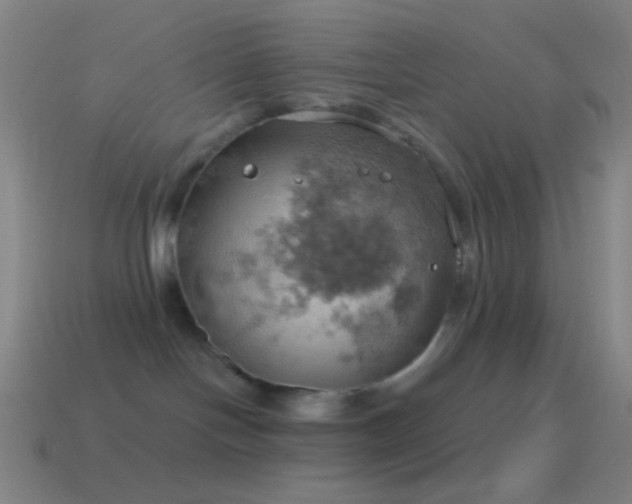X0000115590094200911101247