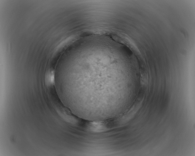X0000115590095200911101247