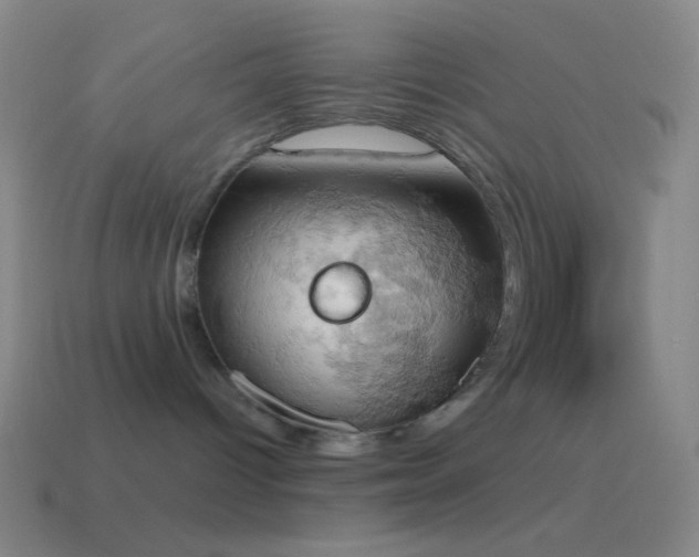 X0000115590096200911101247