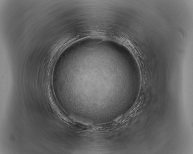 X0000115590097200911101247