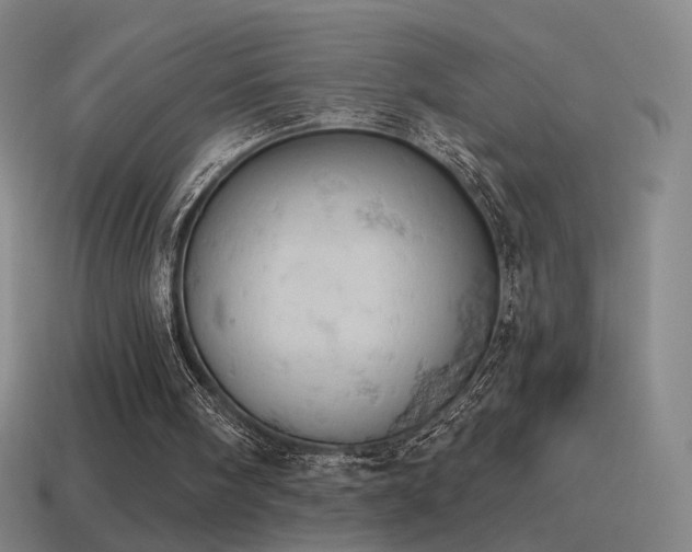 X0000115590098200911101247