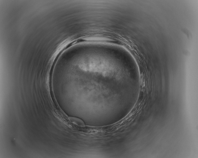 X0000115590099200911101246