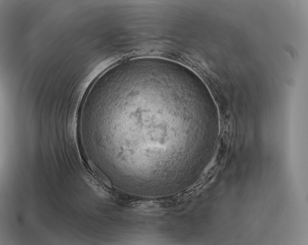 X0000115590100200911101246