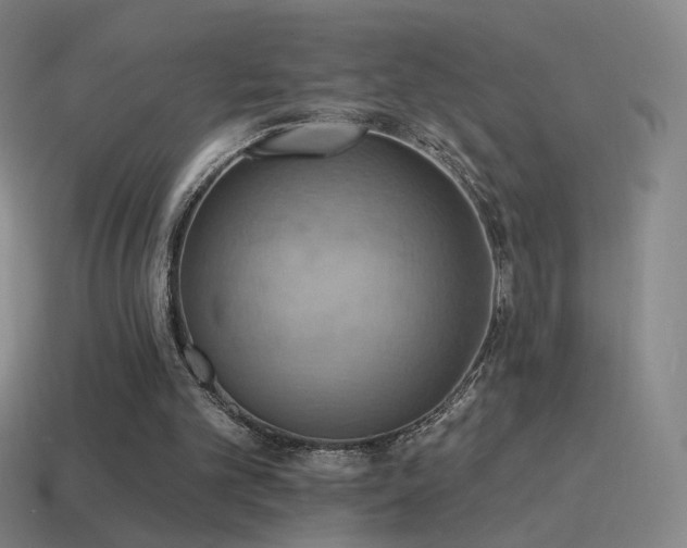 X0000115590101200911101246