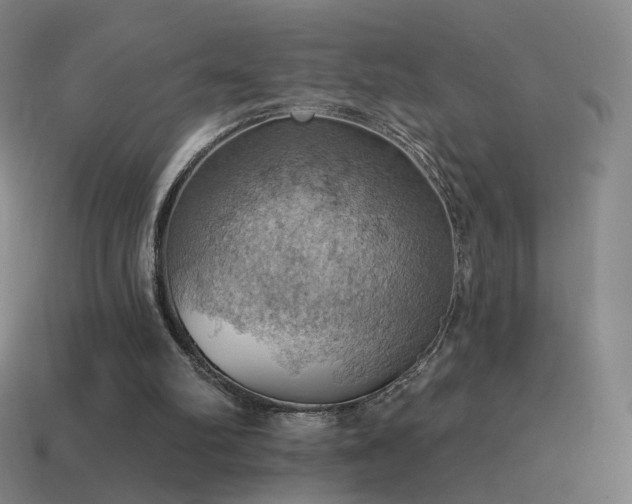 X0000115590102200911101246