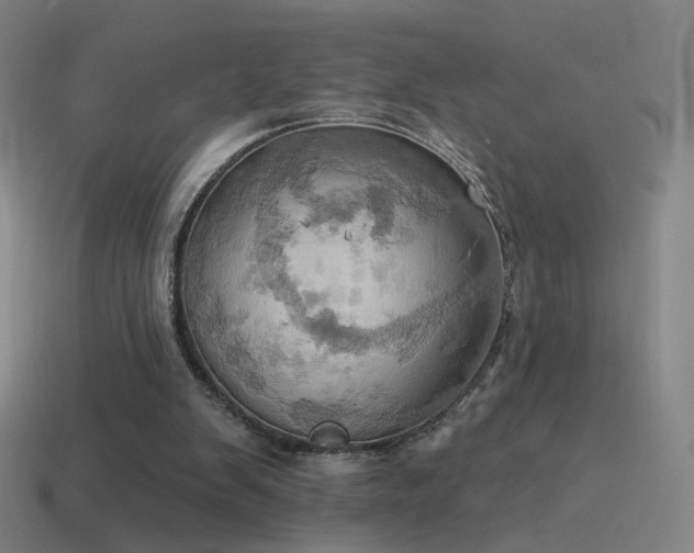 X0000115590103200911101246