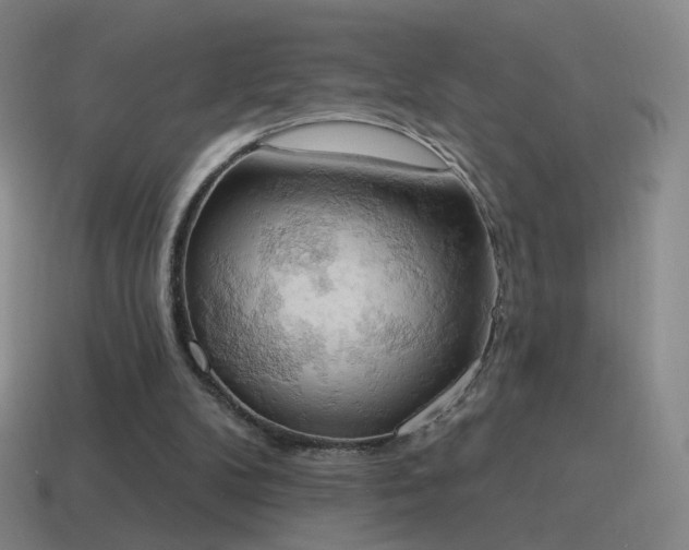 X0000115590104200911101246